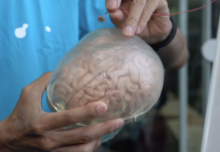 リズムでわかる脳の記憶メカニズムの画像