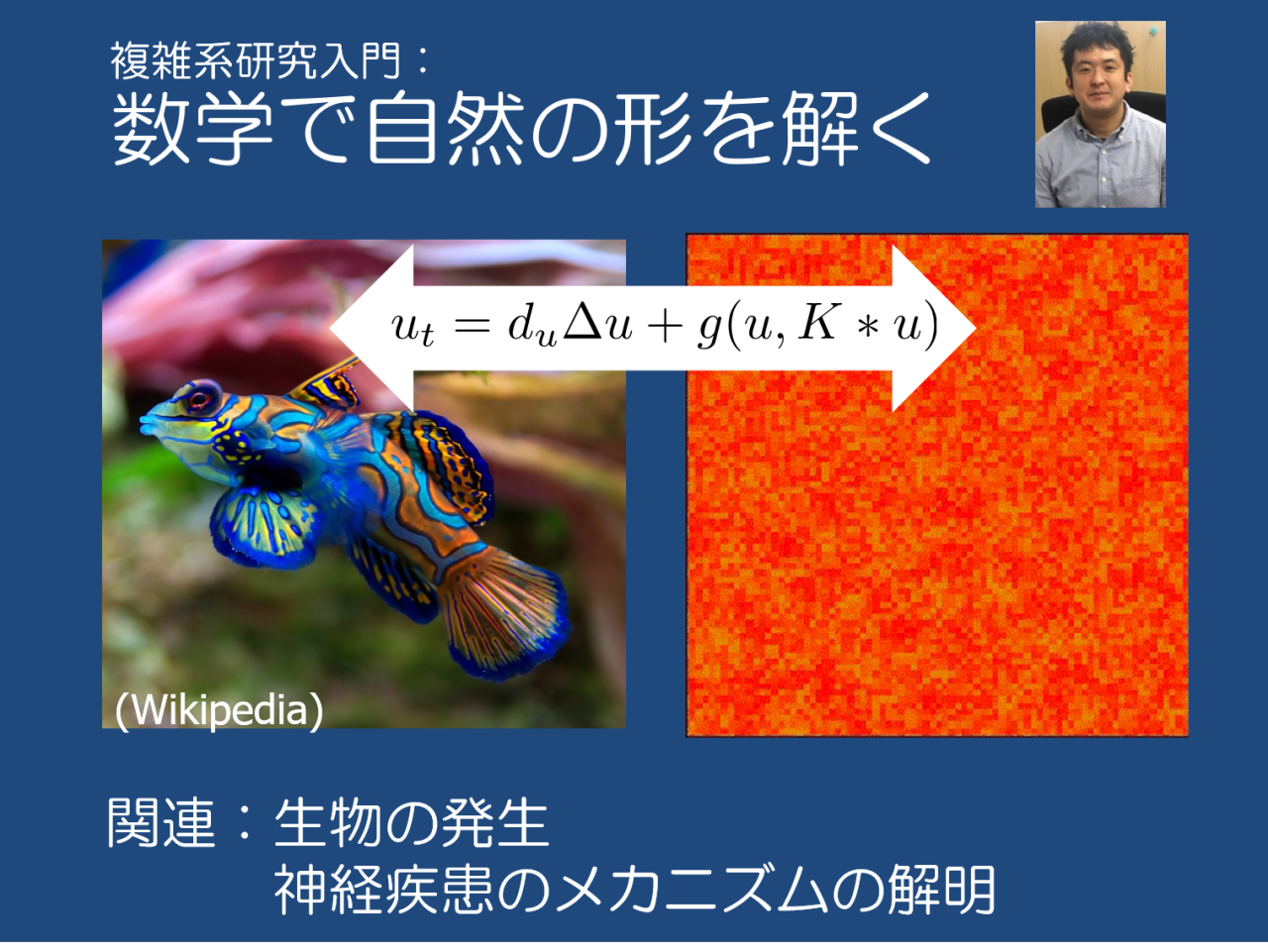 数学で自然の形を解く