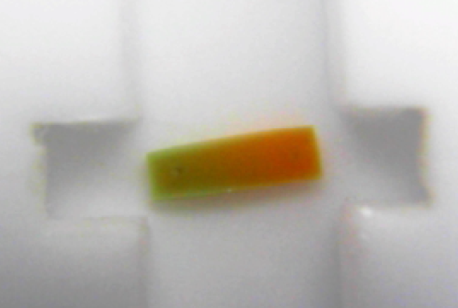 Hydrogel (BZ gel)