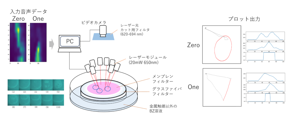 Numerical simulation using mathematical models
