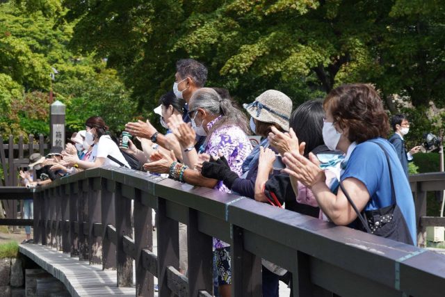 モーツ・アートの様子