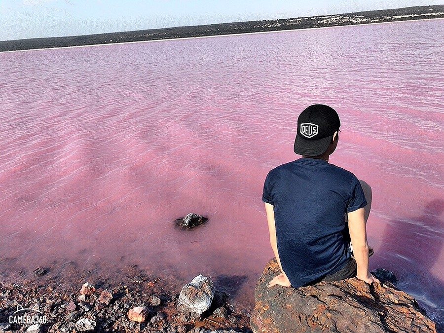 海外留学の様子