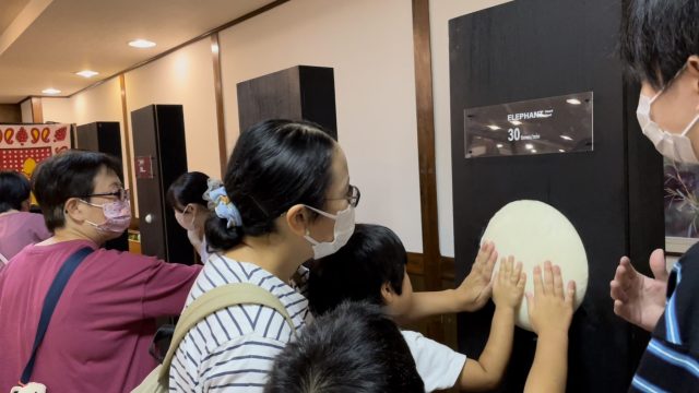 SENSE OF LIFEのイメージ