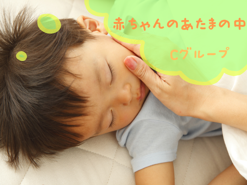 育児の認識学: こどものアタマとココロのはたらきをみつめて 育児の認識学: こどものアタマとココロのはたらきをみつめて