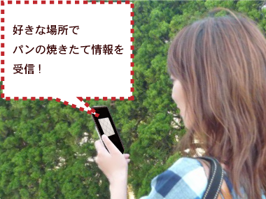 システム使用イメージ