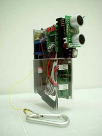 CyARM]pvg^Cv
